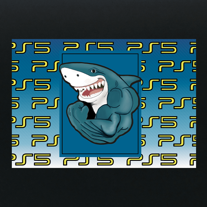 PS5 Special Edition - Vinyl Sticker